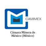 CAMIMEX